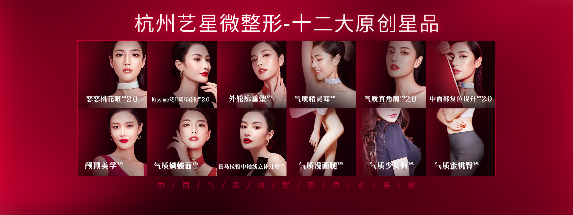 杭州艺星九大星品